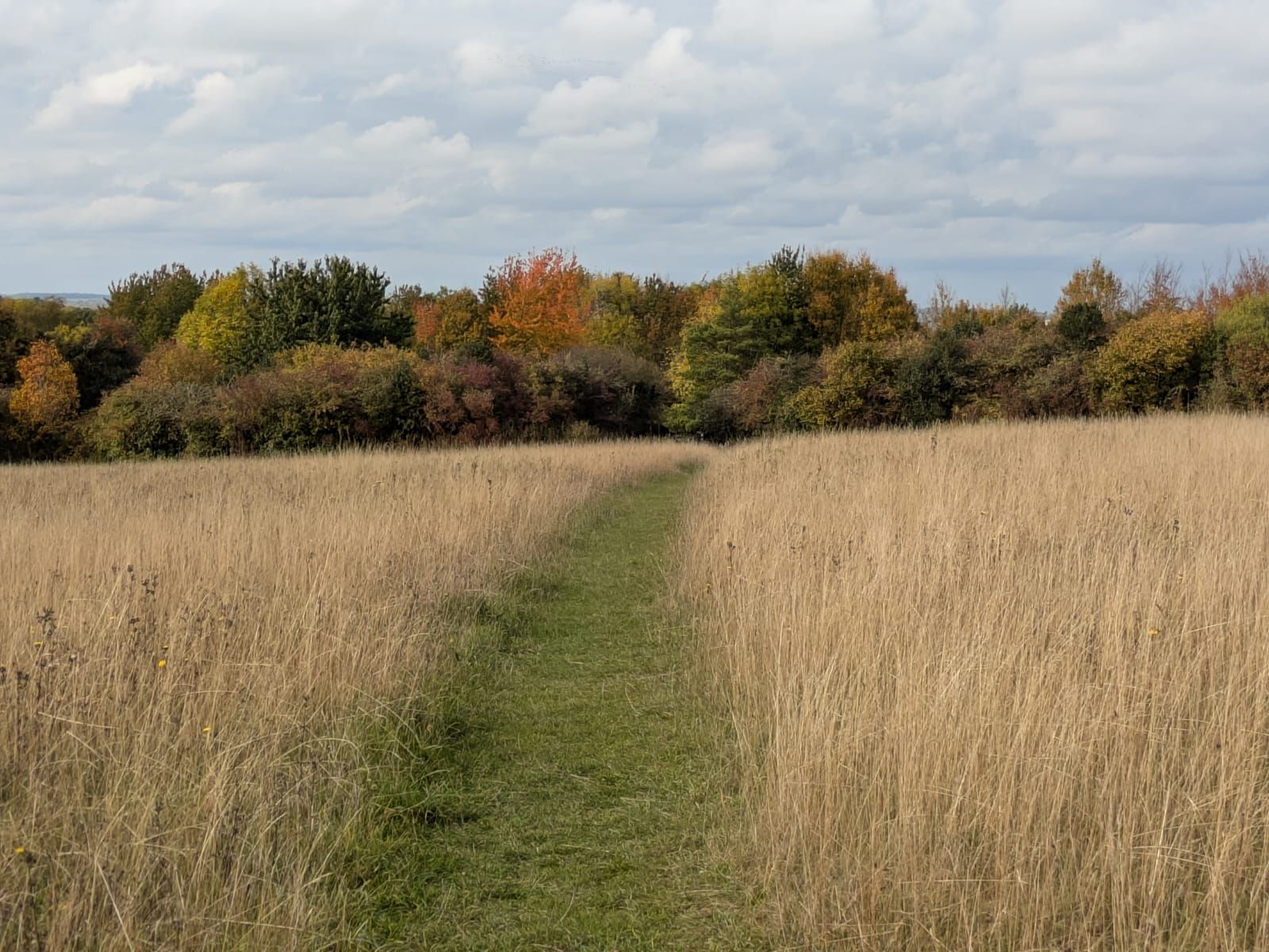 Footpath cross Magog Down